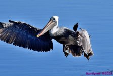 DSC_7578_001.JPG