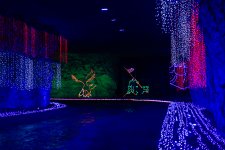 850_0168.jpg