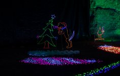 850_0189.jpg