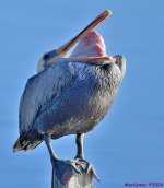 DSC_7628_001_01.JPG