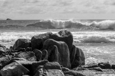 _DSC7651.jpg