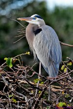 DSC_7964_001.JPG