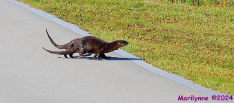 DSC_8140_001.JPG
