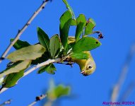 DSC_8161_001.JPG