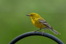 20240506-RD5_0374-Edit.jpg