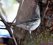 DSC_8211_001.JPG