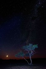 IMG_4248.jpeg