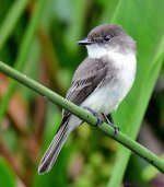 DSC_8603_001.JPG