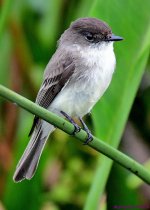 DSC_8604_001.JPG