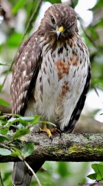 DSC_8676_001.JPG