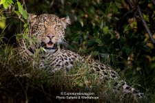 mara_18d3_1665-Edit.jpg