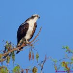DSC_8807_001.JPG