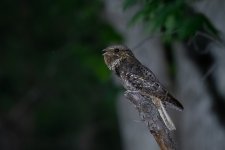 RD5_2200-Edit-2.jpg