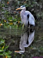 DSC_8925_001.JPG