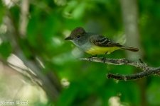 20240519-RD5_0777-Edit.jpg