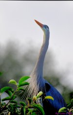 DSC_8995_stitch_001.JPG