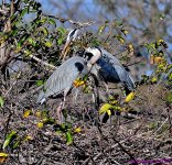 DSC_9046_001.JPG