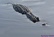 DSC_9062_stitch2_001.JPG