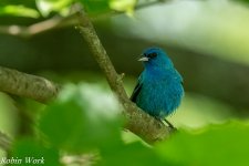 20240603-RD5_1271-Edit.jpg