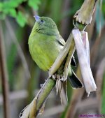 DSC_9362_001.JPG