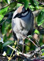DSC_9415_001.JPG