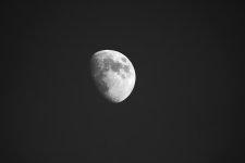 MoonHandheld-3.jpg