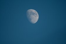 MoonHandheld.jpg