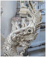 white-dragon2-1.jpg