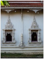 white-windows-1.jpg