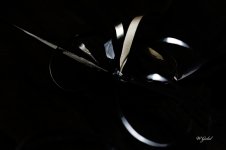 Ribon parts sm.jpg