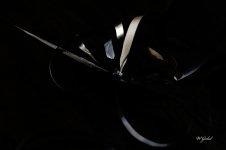 Ribbon parts sm.jpg