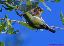 DSC_9535_001.JPG