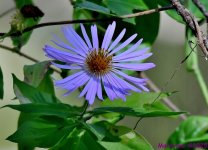 DSC_9670_001.JPG