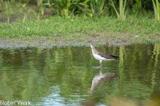 RD5_4980-Edit.jpg