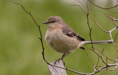 RLW_6248-Edit.jpg
