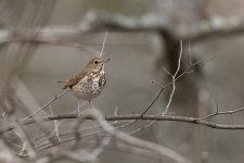 RD5_8895-Edit.jpg