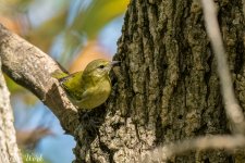 RD5_5570-Edit.jpg