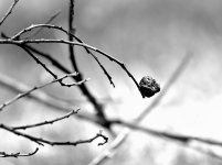 DSC_5529.JPG