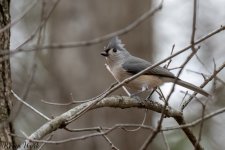 RD5_8778-Edit.jpg