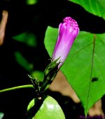 DSC_0101_001.JPG