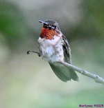 DSC_0128_001.JPG