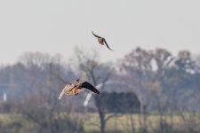 850_4585-Edit.jpg