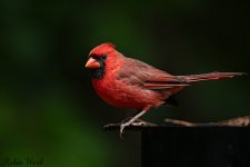 20220924-RD5_6960-Edit.jpg