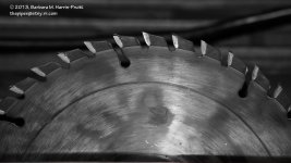 231 The Blade-130819_01.jpg