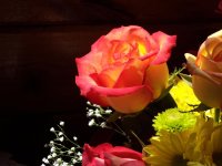 100_0157.jpg