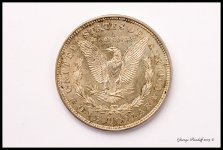 Day232SilverDollarBack.jpg