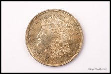 Day232SilverDollarFront.jpg