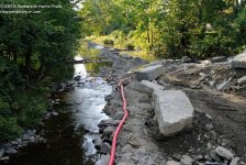 232 Choconut Creek-130820-04_01.jpg
