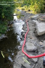 232 Choconut Creek-130820-06_01.jpg
