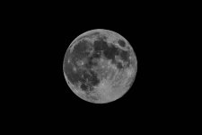 BlueMoon1.jpg
